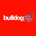 Kingpinslot Bulldog anti-diefstal 2''