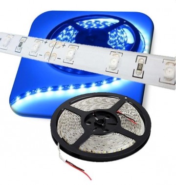 Waterproof ledstrip 10 mm blauw 5M 24V